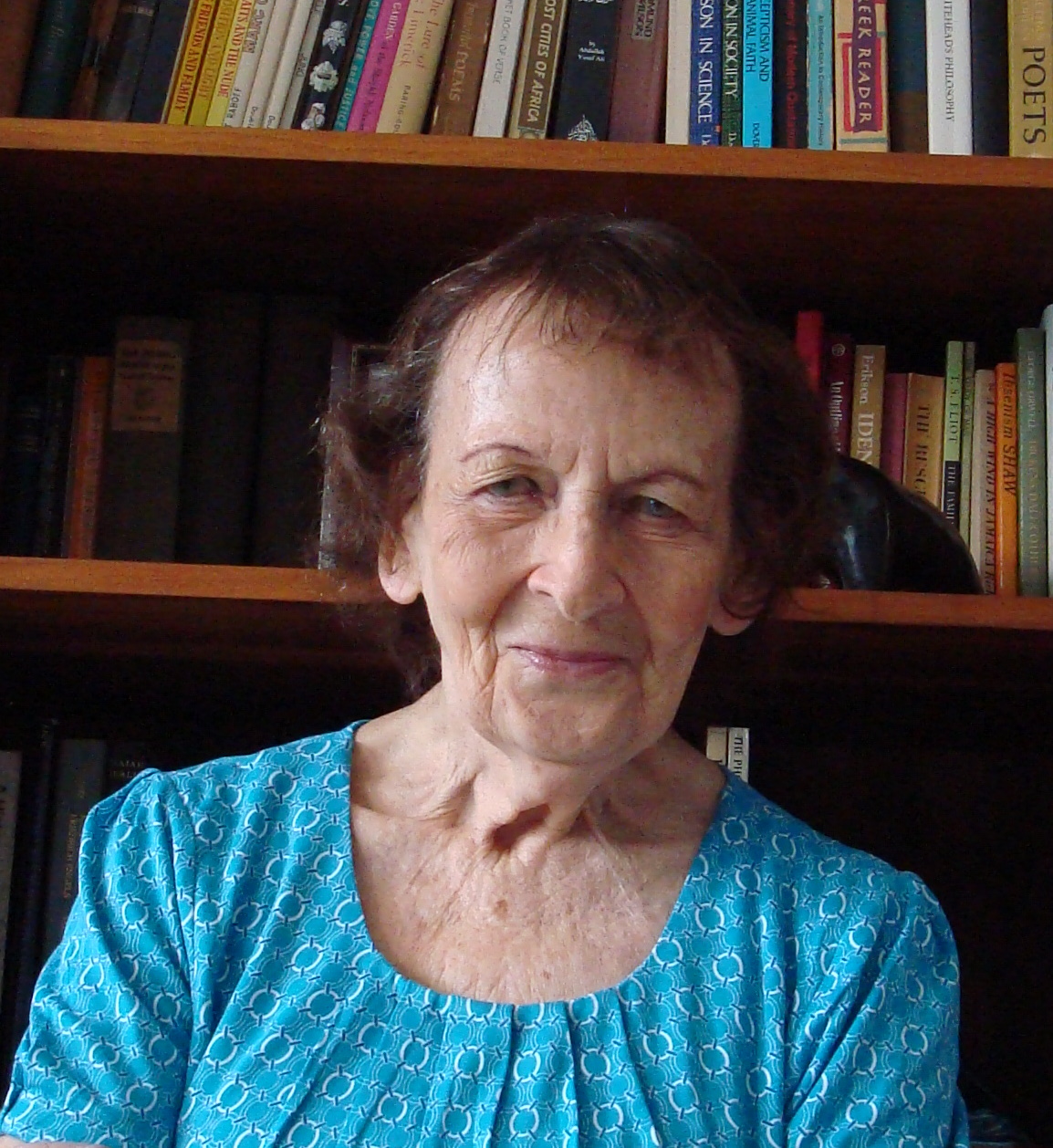 History-of-Dream-Picture