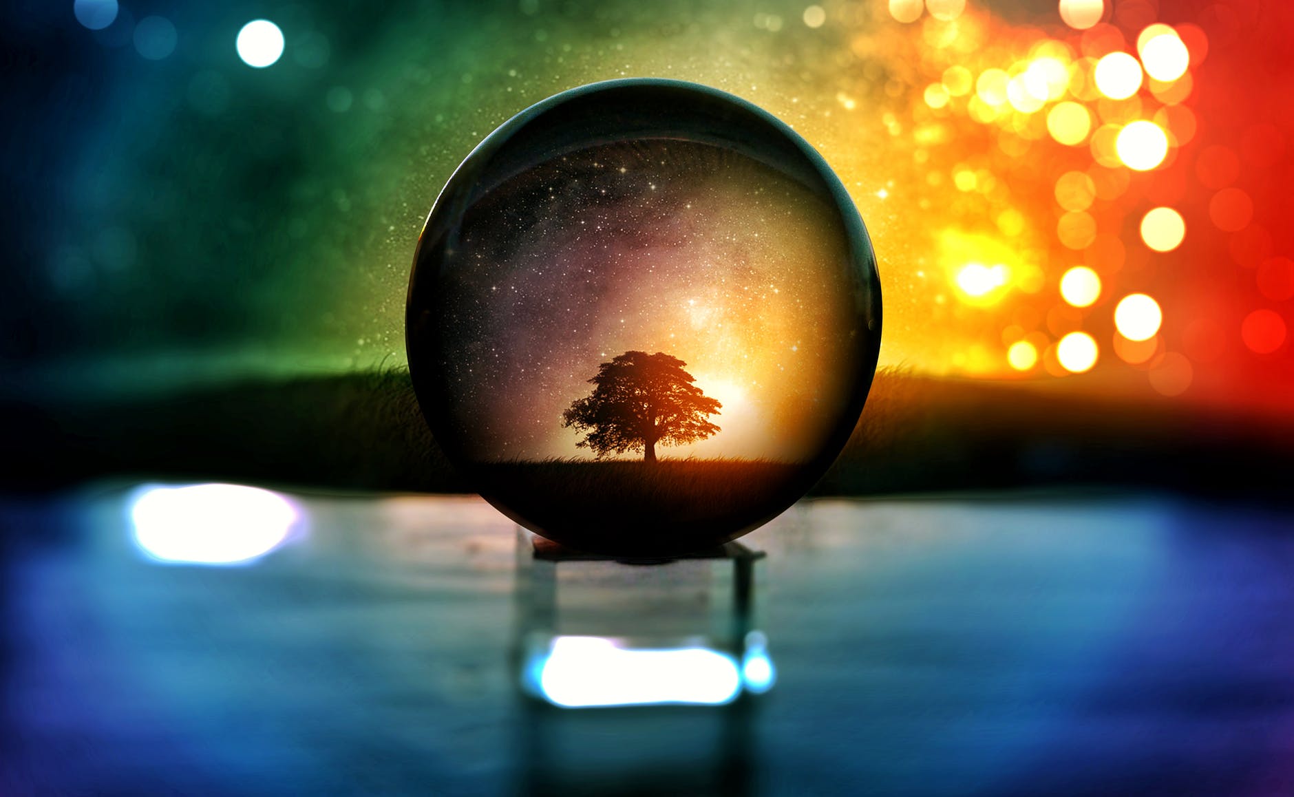 selective focus photography of water globe with tree illustration